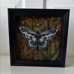 Ashland 3D Framed Black and White Butterfly Moss Background Dark Academia Art